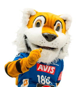 Glaserei Mews - Förderer des Sports - Wir fördern den VfL Lübeck-Schwartau Handball