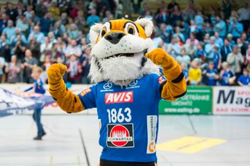 Glaserei Mews - Förderer des Sports - Wir fördern den VfL Lübeck-Schwartau Handball